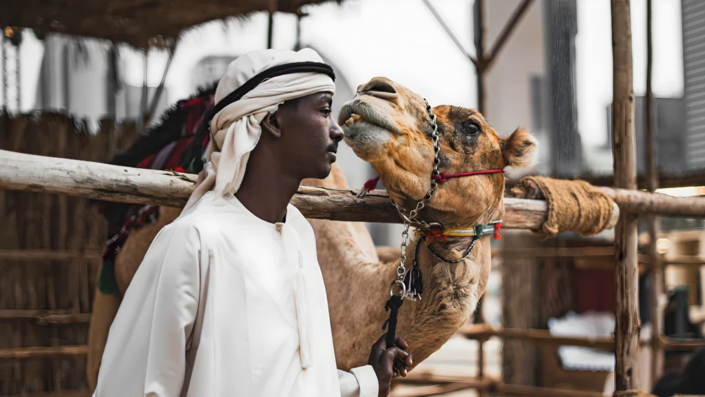 Qasr Al Hosn Festival 3